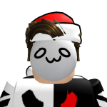 @willoz100