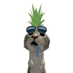 @Coolmanmc313313