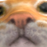 @elerpie