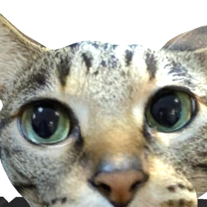 melondotcat