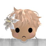 @Paux_rbx