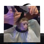 @fortnites_awsome101