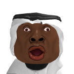 @mroushdy45