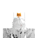 @Wocky404