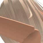 @horselife20205