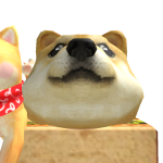 @dogedepzai1
