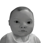 @NooblexeDev