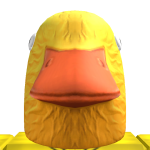 @duck_boy4566