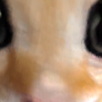 @ItsAminuCraft11223