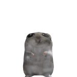 @rancses100