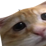 @QU1NNXY