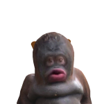 @roblox_user_572685569
