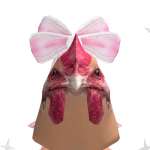 @roolcool22