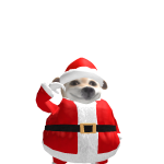 @Frog_luvx
