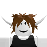 @robotgamer965