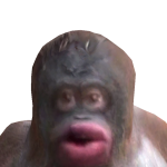 @flippinout21