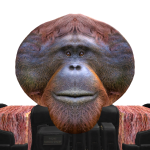@TheCrimsonCrew1209