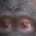 @GamerB0y999