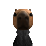@DMRRBLX_10