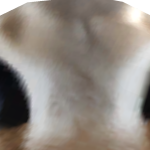 @DeveloperUnk0wn