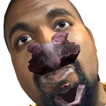 @the_realshark9