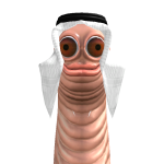 @Almarzoqi2023