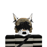 @17kWarcy