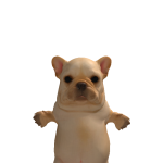@maxikiingg