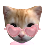 @aaronwarners_pookie
