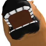 @Camdenlikeskorblox