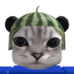 @dshg5502