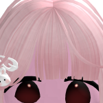 @hhunicorn2020