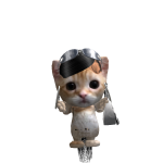 alizaa