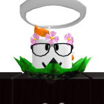 @ApricotBrother2