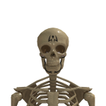 @Rat5th