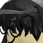 @roblox_user_273305275