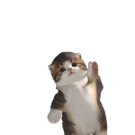 @btserendipxty