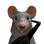 rat