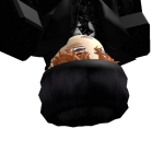 @V4NNNT