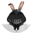 she_yeq