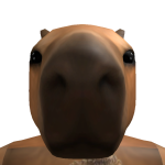 @SandyOP9000_PC
