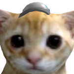 @surrkey