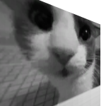 @scaresomfeargaming