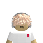 @jrnroblox00