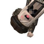 @qxnoodii