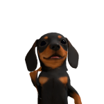@Cond1rit0_RBX