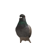 @zwariowanamaja147