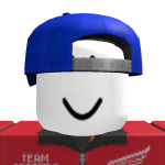 @roblox_user_1739090122
