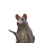 @The_FerretPalace