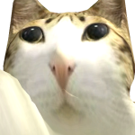 @MrToastySweater